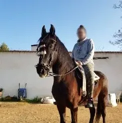 Frederikke, 31